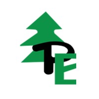 Pine Exporters