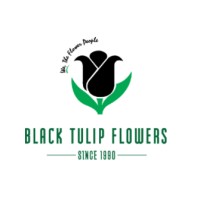 Black Tulip Infotech Private Limited logo - Similar company to Reelbox