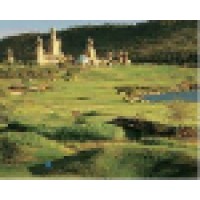 Professional Golf Tours