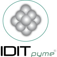 IDITpyme logo - Similar company to Insa.Ai