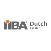 IIBA NL logo - Similar company to Ba & Beyond