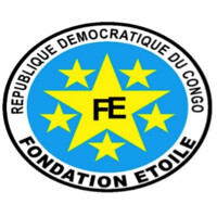 Fondation Etoile Bukavu logo - Similar company to Ecoconsulting (Bukavu)