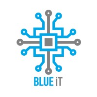 BlueiT LLC logo - Similar company to Dsn - Data Studio Network