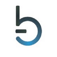 Skype Sky / Bleecker Consulting Group (BCG)