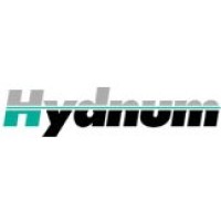 Hydnum Oy logo - Similar company to Digstra