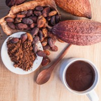 Cacao Chile Spa logo - Similar company to Cacao Lab