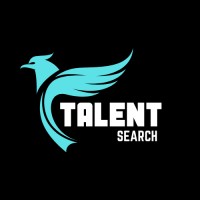 Talent Search logo - Similar company to Impel It Solutions