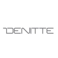 Denitte logo - Similar company to Artsi Studio