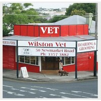 Wilston Vet