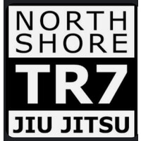 North Shore BJJ logo - Similar company to Flexit Talent Solutions