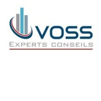 VOSS experts-conseils inc. logo - Similar company to Groupe Cme Services D'Ingénierie