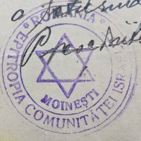 Leolam Foundation - Moineşti logo - Similar company to Elisabeth Bernardo
