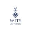 Wits SEF logo - Similar company to Logiscool Bedfordview