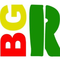 BRITAIN'S GOT REGGAE CIC logo - Similar company to Futurecodersse Cic