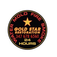 Gold Star Restoration logo - Similar company to Arkiq