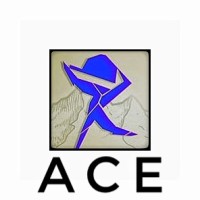 SSN ACE logo - Similar company to Ssn Abe (Association Of Biomedical Engineers)