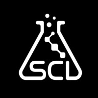 Silver Creek Insights logo - Similar company to Ts3 Logistics