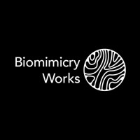 Biomimicry Works logo - Similar company to Into The Wild