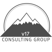 v17 Consulting logo - Similar company to V17 Development