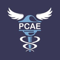 Grupo PCAE logo - Similar company to A1 Conta
