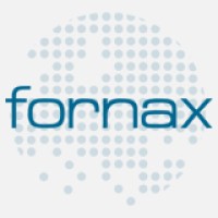 Fornax logo - Similar company to Testit