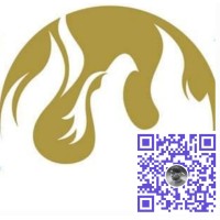 Max Value Insurance Group logo - Similar company to Max Value