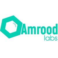 Amrood Labs logo - Similar company to Bent Pixels