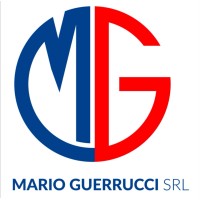 Mario Guerrucci srl logo - Similar company to The Top Technician!