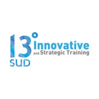 13 Degres Sud - Innovative & Strategic Training logo - Similar company to Yurcom