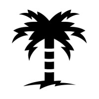 Electric Coast Island Bikes