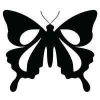 Black Hammer Brewing Company logo - Similar company to Eightyfive Studio