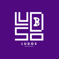 Ludos HEC logo - Similar company to Congregation Beth Tikvah