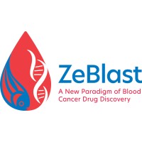 ZeBlast Technology Limited logo - Similar company to Tiberias Technology (Hk) Limited (Tibtech)