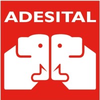 Adesital S.p.A. logo - Similar company to Litokol Lab