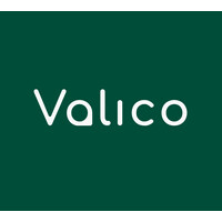 Valico logo - Similar company to Agile Architects