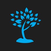 Cloudswood Technology Services UK 🇬🇧 logo - Similar company to Lindner It Ug (Haftungsbeschränkt)