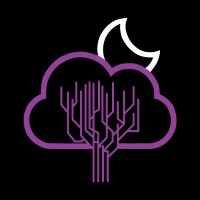 Night Tech logo - Similar company to Technite Solutions