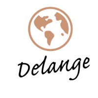Delange Management Consultant LLC FZ logo - Similar company to Slashblue