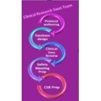 CLINICAL RESEARCH SWAT TEAM - Expert Independent consultants for any of your Clinical trial needs logo - Similar company to Nextgxdx Inc.