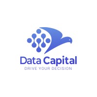 Data Capital logo - Similar company to Datakapital