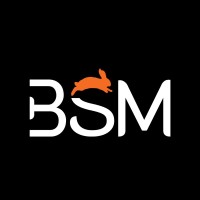 Big Shorter Media logo - Similar company to Butterfly It Solutions