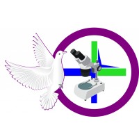 God'S Grace Biomed Supply Limited