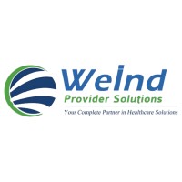 WEIND PROVIDER SOLUTIONS logo - Similar company to Dcampaign Digital - Creative Digital Marketing Agency
