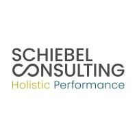 Schiebel Consulting logo - Similar company to Schiebel Pacific