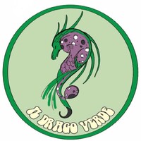 Al Drago Verde logo - Similar company to Agencija Gig