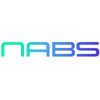 NABS AI Solutions Pvt. Ltd. logo - Similar company to Nvj Consulting