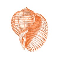 ECOFIP logo - Similar company to Inter Invest