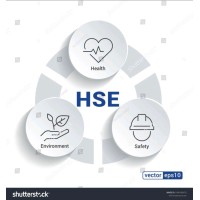 Health and Safety Management Consultant ( Industrial Lead Auditor & Sr. Consultant) logo - Similar company to Tejas Fire Services