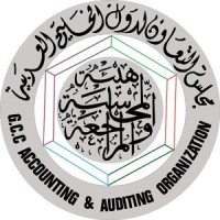هيئة المحاسبة والمراجعة لدول مجلس التعاون لدول الخليج العربية logo - Similar company to Mena Studies Network