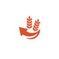 Shah Nanji Nagsi Overseas Ltd. logo - Similar company to Shah Nanji Nagsi Exports Pvt. Ltd.